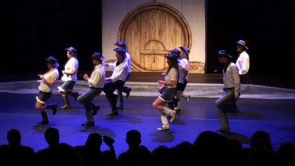 Country plesna skupina Vrtičkarji - Praznovanje jeseni v Semiču november 2014 (1. ples)