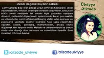 Ülviyyə Əlizadə-  Əxlaqi degenerasiyanın səbəbi