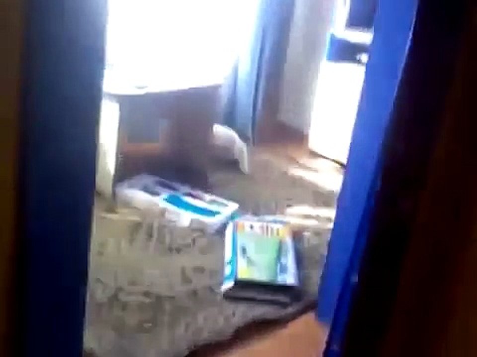 Scared Cats Compilation 2014
