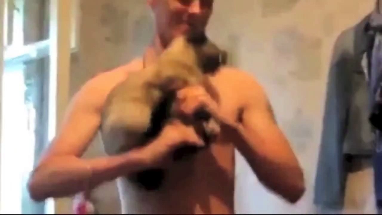 Funniest Cats 2014 Compilation