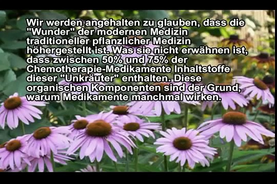 Krebs Report Krebsindustrie Pharmaindustrie Luege der Weg zur Freiheit