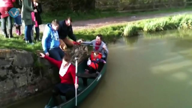 Best Fails of January 3rd week 2015 Xtream videos