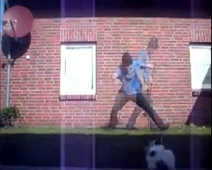 Mini Compilation: cats fail || VPL