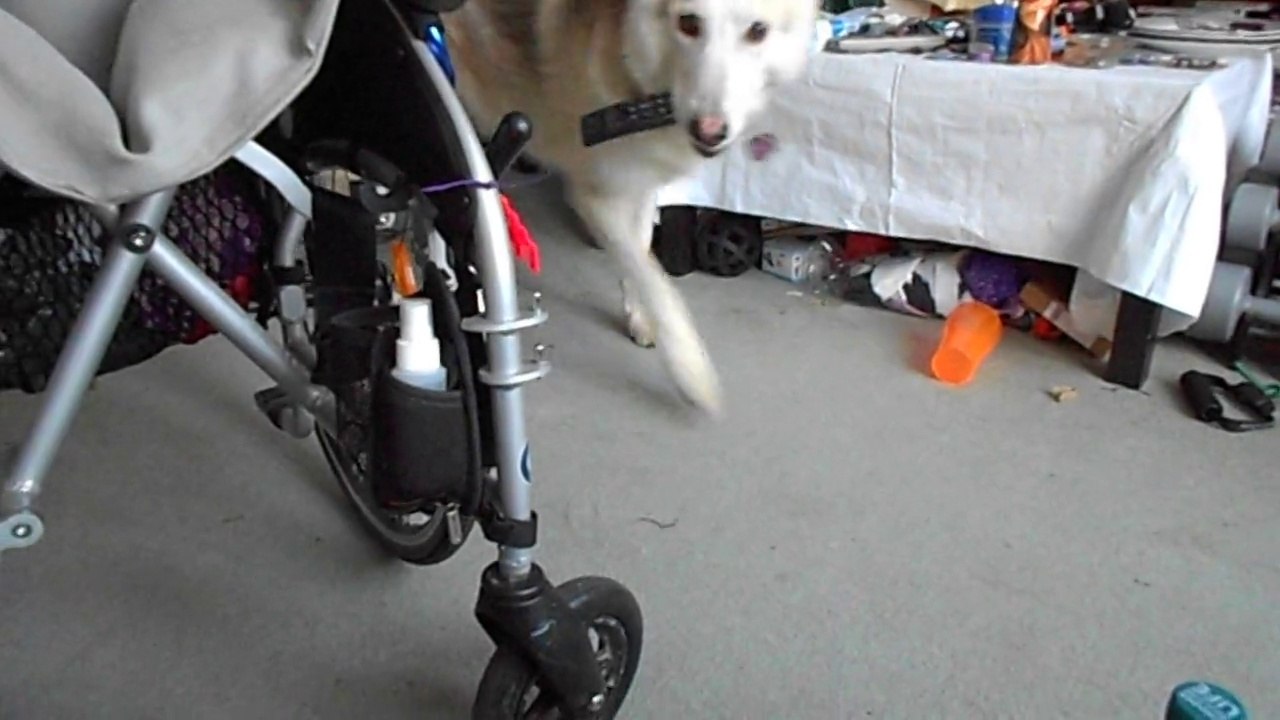 Freya passing items between people
