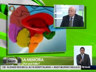 Conozca cómo evitar la pérdida de la memoria