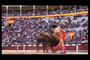 Extreme Bull Riding and Bull Fighting Fail Compilation