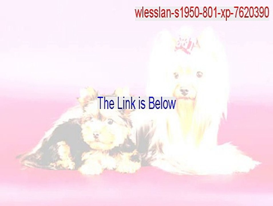 wlesslan-s1950-801-xp-7620390.zip Keygen [wlesslan-s1950-801-xp-7620390 2015]