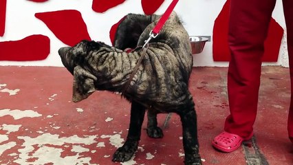 Penny was raped, used for bait and abandoned. This is her extraordinary story