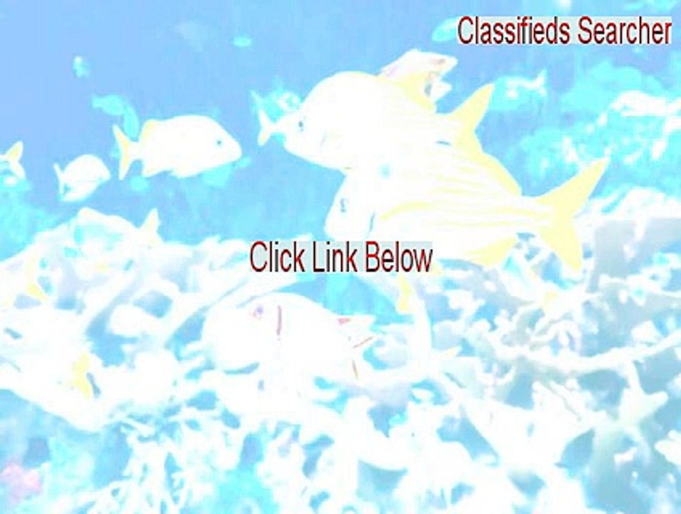 Classifieds Searcher Key Gen [Download Here]