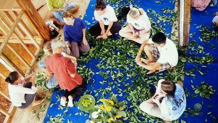 Surin The Elephant Empire