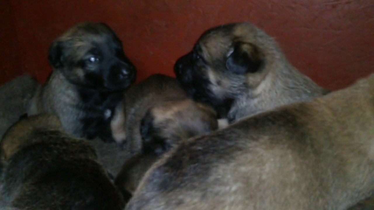 Be Aware H's @ Who is the BOSS? - Part.2