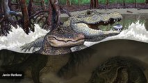 Seven Crocodile Species Discovered To Have Co-existed In A Single Habitat