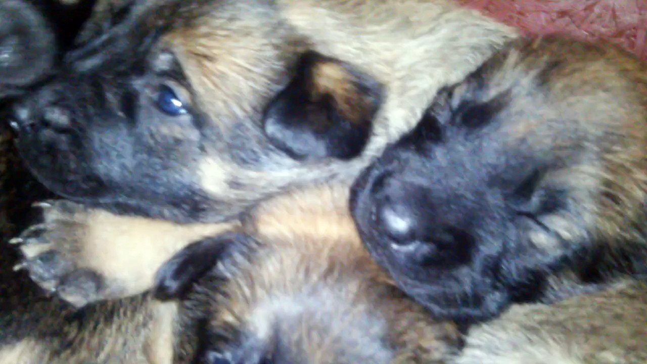 Be Aware H's @ Who is the BOSS? - Part.1