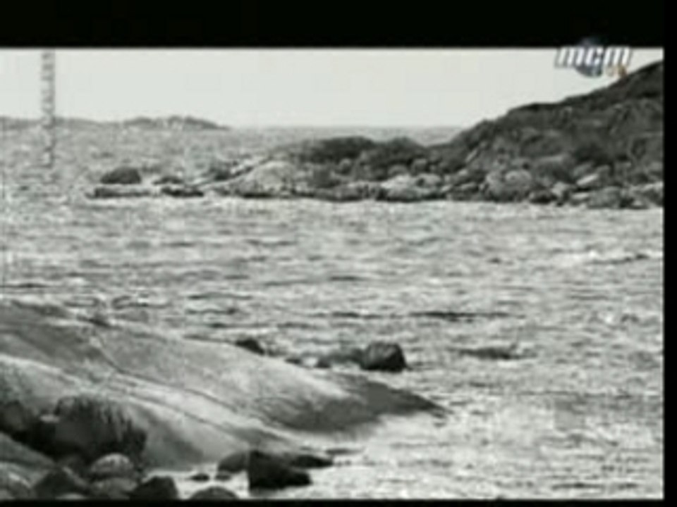 In Flames - Pinball Map