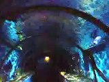 Amazing!The mysterious fish tunnnel in the Aquarium Video sea water marine deep sea