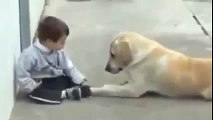 فيديو مؤثر لحظات تدمع لها العين بين كلب وطفل معاق