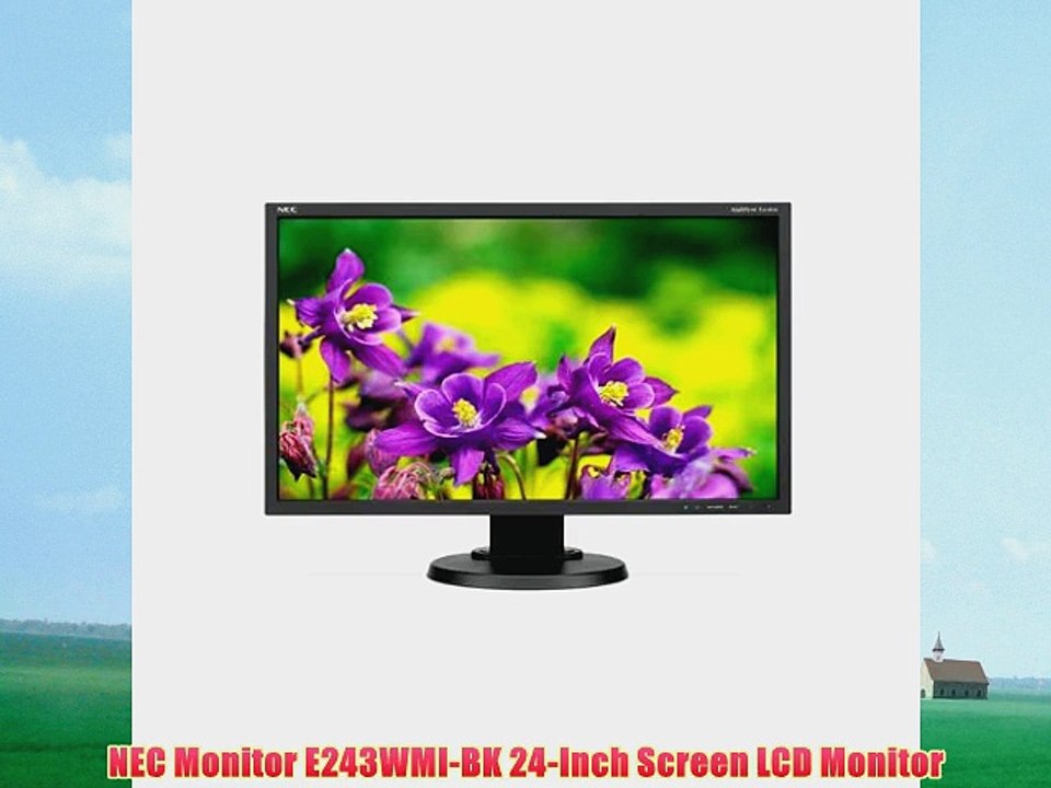 NEC Monitor E243WMI-BK 24-Inch Screen LCD Monitor