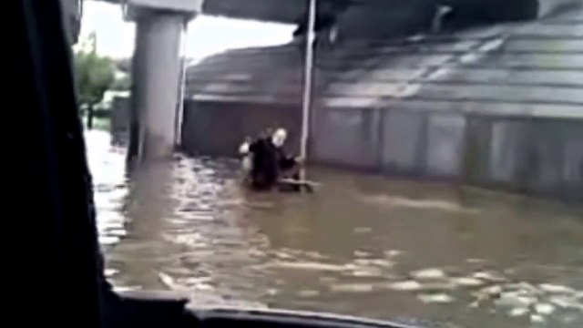 Dog pushes owner in wheelchair through flooded street