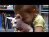 CATS 101 - Bambino [ITA]