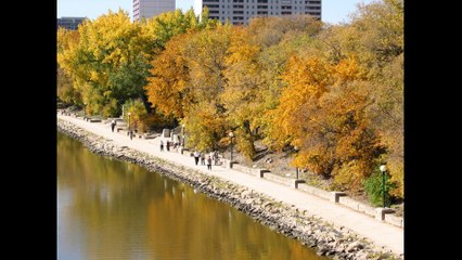 Gabriel Wayne Patterson #7 (Image/Photo Collage)