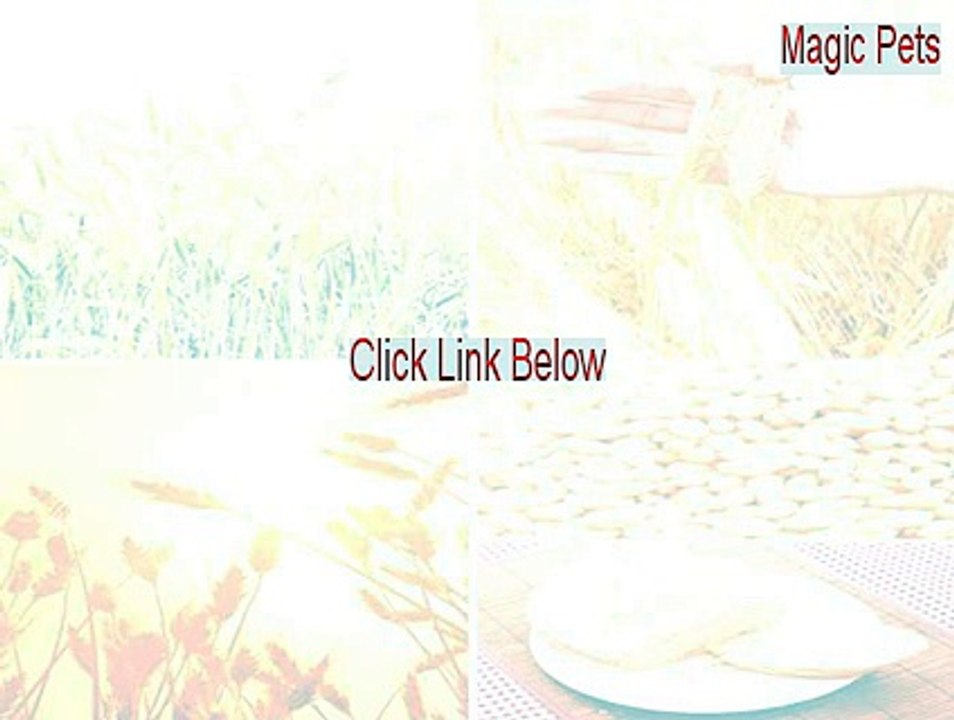 Magic Pets Key Gen (Instant Download)