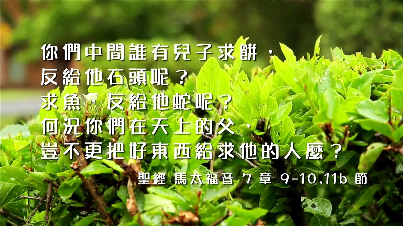 失落的微笑 ( HD 国语)