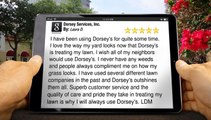 New Rating for Dorsey Services, Inc. by Laura D.         Perfect         5 Star Review by Laura D.