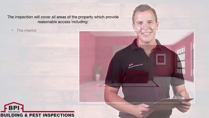 Why You Need Building And Pest Inspection In Adelaide