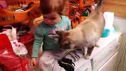 El sentido de la vida (alimenticia)