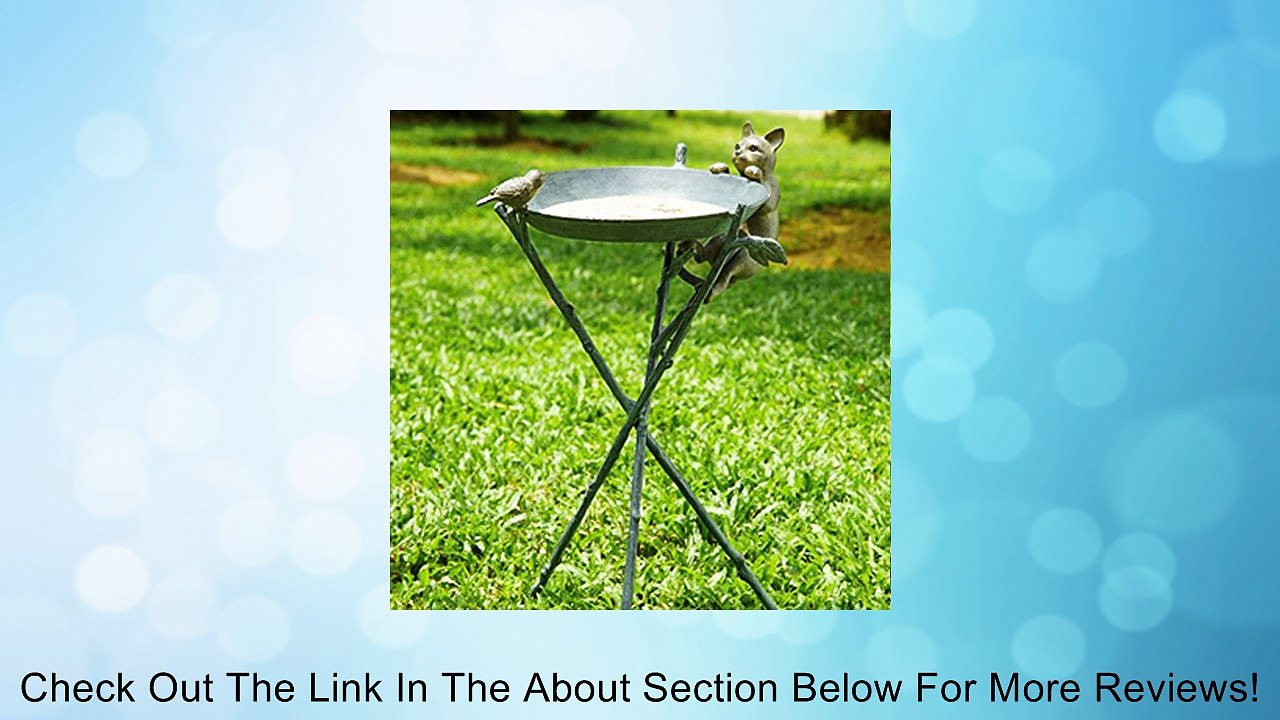 San Pacific Curious Cat Bird Bath Review