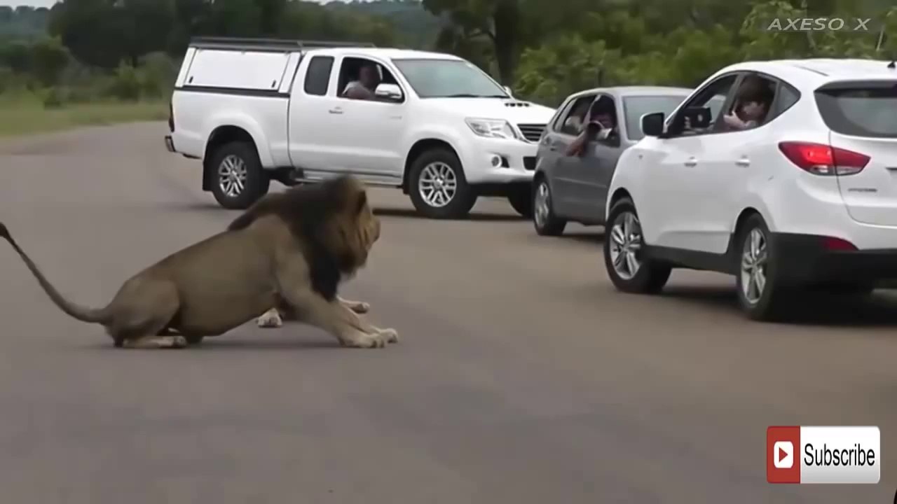 Shocking Video that made the whole world cry