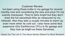 SYLVANIA 29508 - 65 Watt CFL Light Bulb - Compact Fluorescent - - 200 W Equal - 4100K Cool White - 82 CRI - 65 Lumens per Watt - 12 Month Warranty Review