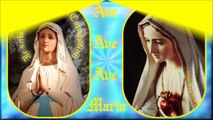 AM44. Fatima : Instrumental pour 27 couplets