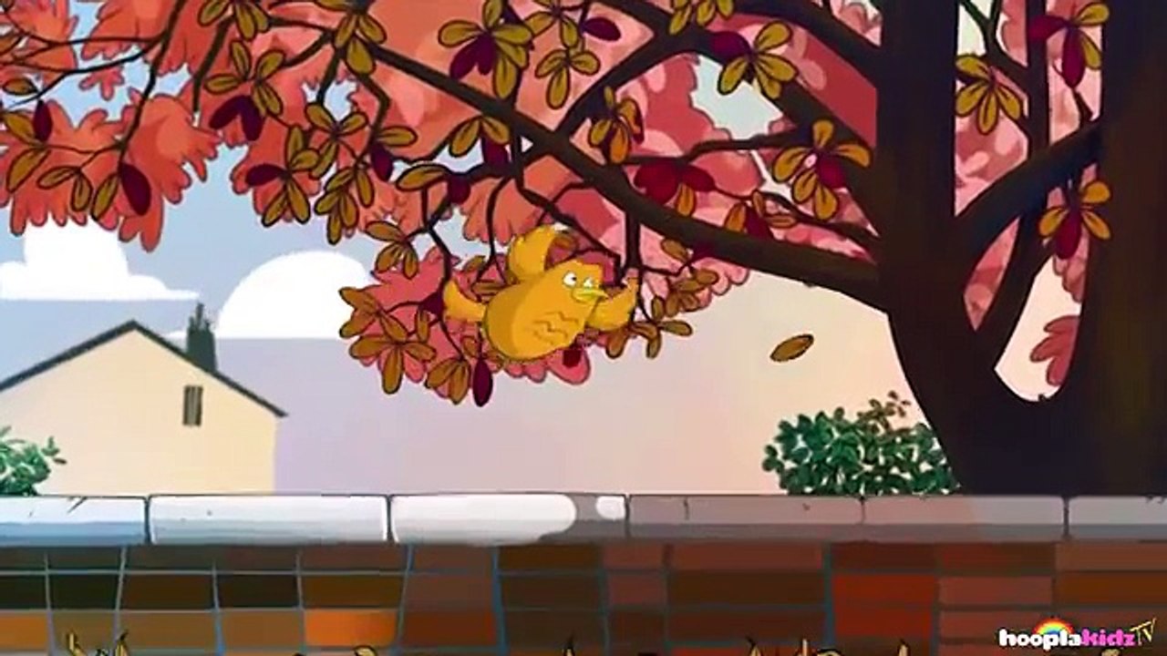 Cartoons For Children - Funny Cartoons For Children - Creepy Crawlies & Funny Insect Videos For Kids