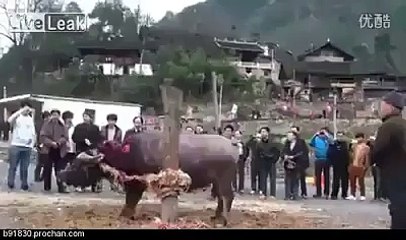 benhse pay zulam ki inteha diakhain allah o akbar