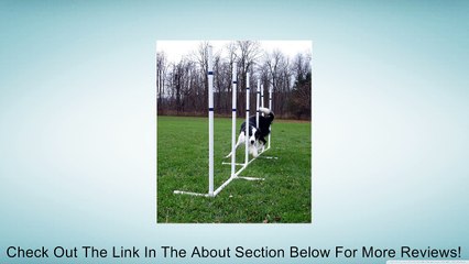 Affordable Agility in the Bag Review