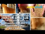 Bulk Grano Duro Mill, Grano Duro Fresatura, Grano Duro Mill, Bulk Grano Duro, Grano Duro Mill, Grano Duro Fresatura, Grano Duro