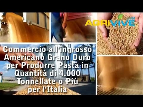 Grano Duro fresatura, Grano Duro, Grano Duro Wet Mill, Grano Duro, Grano Duro, Mill Grano Duro, Miller di Grano Duro