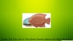 Dii Scale-Fish Shaped Stoneware Serving or Plates Review