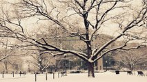 Social video of more D.C. snow