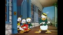 Donald Duck Walt Disney Cartoons For Children - Mr  Duck Steps Out