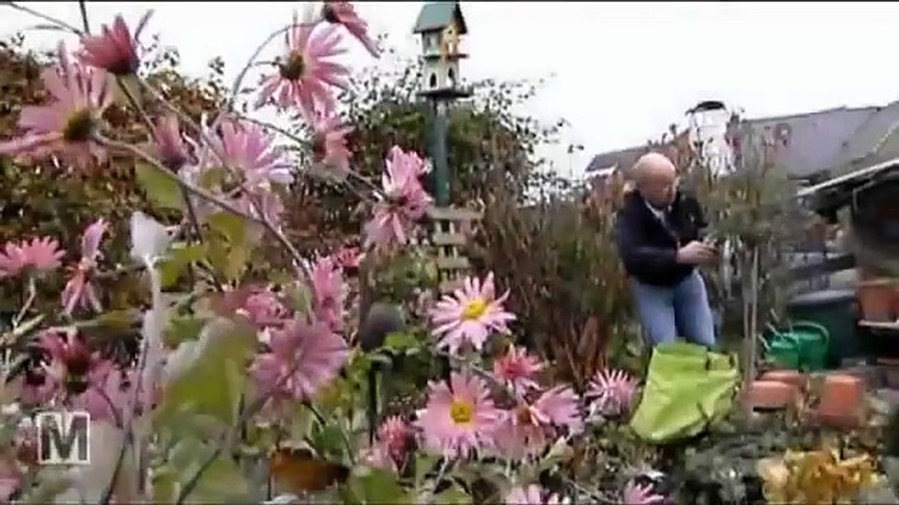 Vorsicht bei Betriebsrenten und  Entgeldumwandlungen