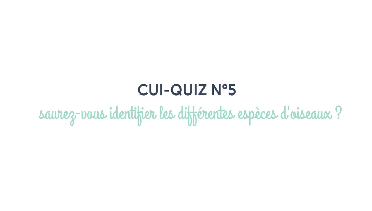 BirdLab - Cui-quiz n°5