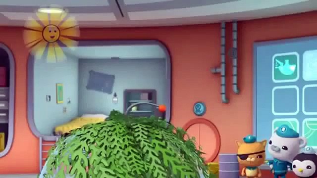 Octonauts Full Episodes ✫ Manatees ✫✫ Cartoons For Children