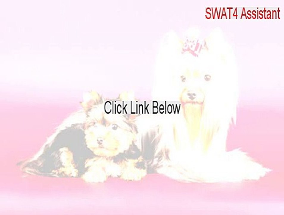 SWAT4 Assistant Crack [Download Now 2015]