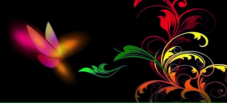 Shahid Kapoor receives pre-birthday surprise from Amitabh Bachchan