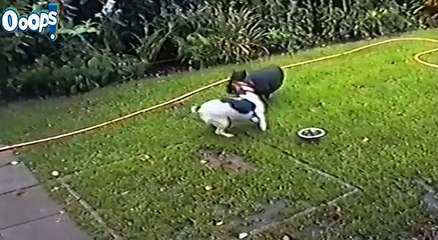 Haroon Mahmood – Best Funny Animals Video – Haroon Mahmood