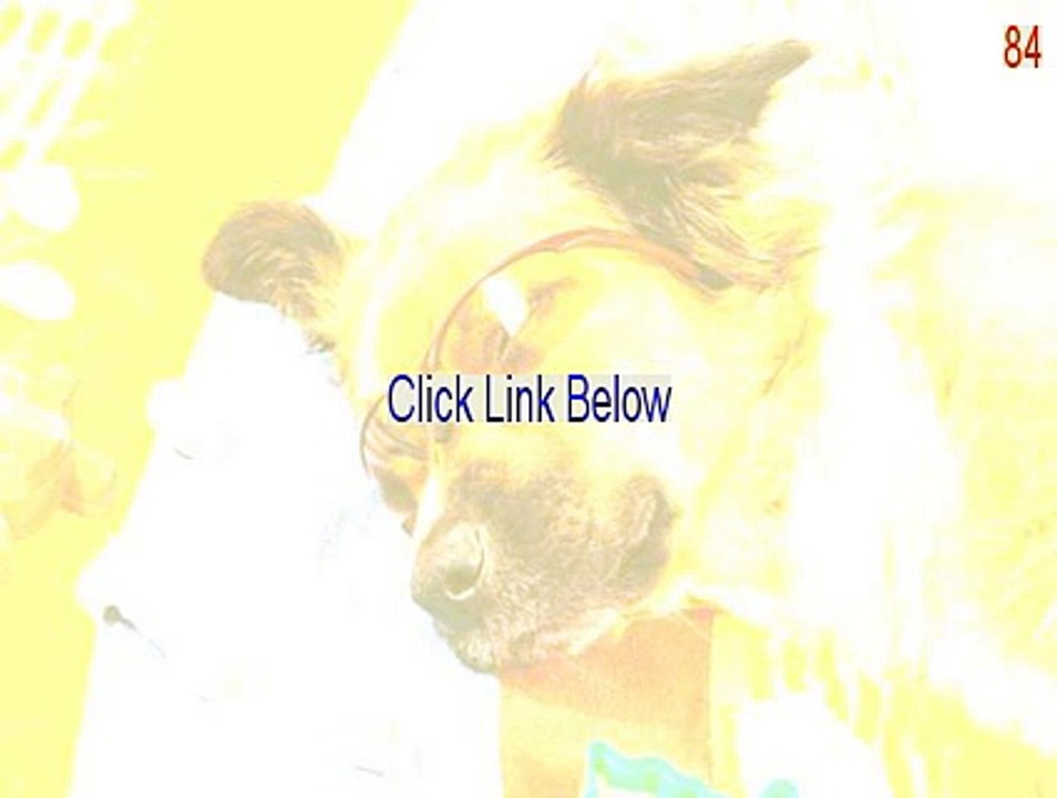 84.80_WHQL_XP.exe Full [Download Here 2015]