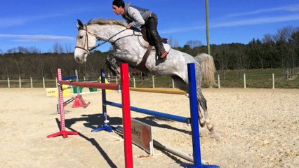 Carolus x Carthago 8ans
