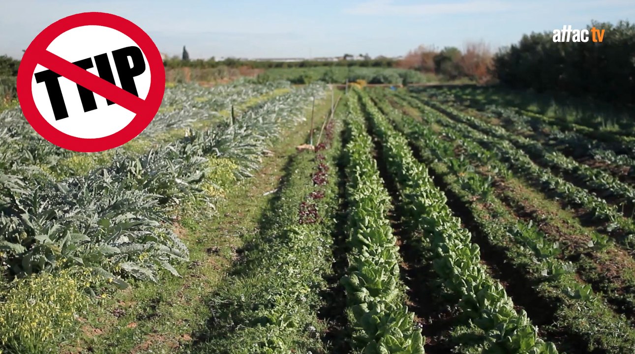 TTIP, agricultura e industria alimentaria / TTIP, agriculture and food industry - Hanny Van Geel